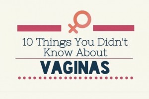 vagina infographic
